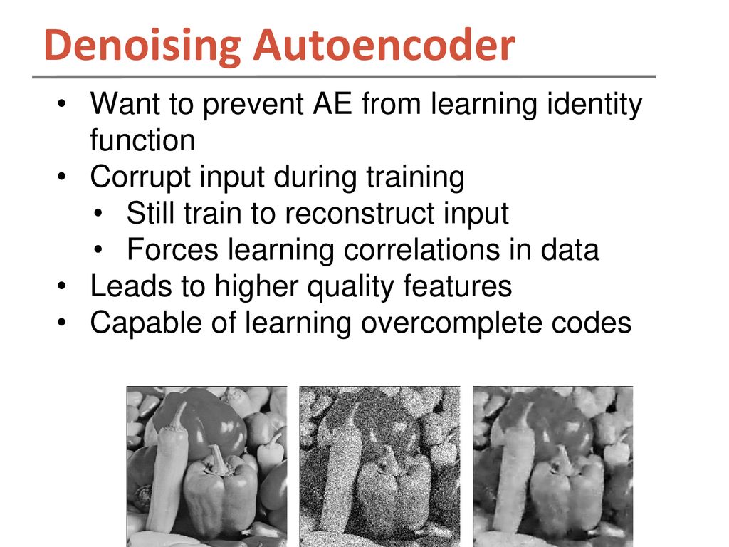 Autoencoders David Dohan. - ppt download