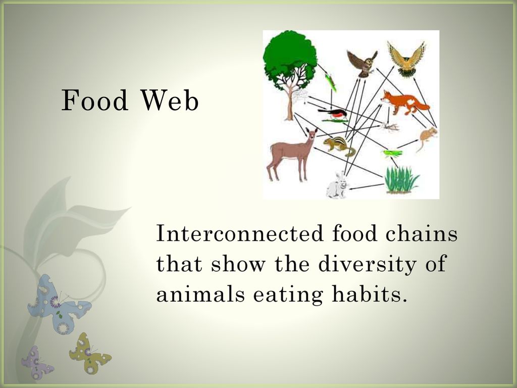 Biotic Factors: The living parts of an ecosystem. Biology Diagrams