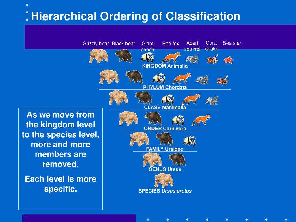 Classification Go to Section:. - ppt download