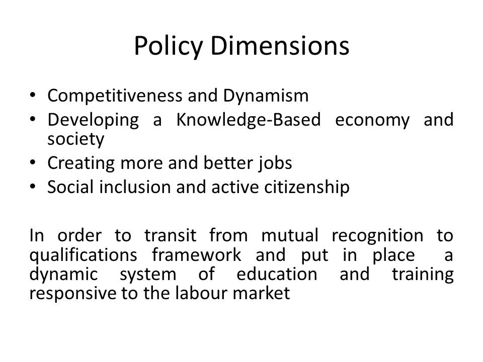 Policy Dimensions Competitiveness and Dynamism