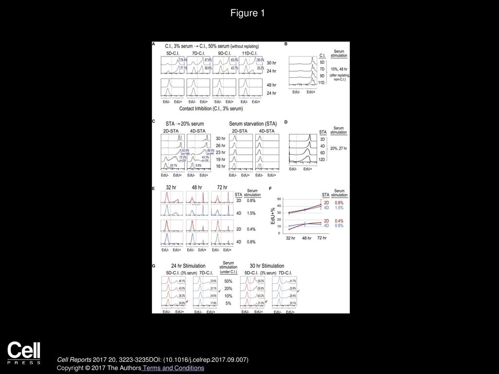 Controlling Depth of Cellular Quiescence by an Rb Biology Diagrams