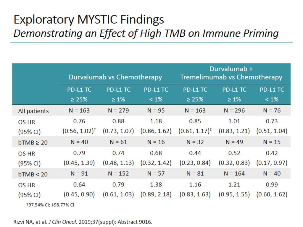 Combining Immunotherapy And Chemotherapy In Nsclc Ppt Download