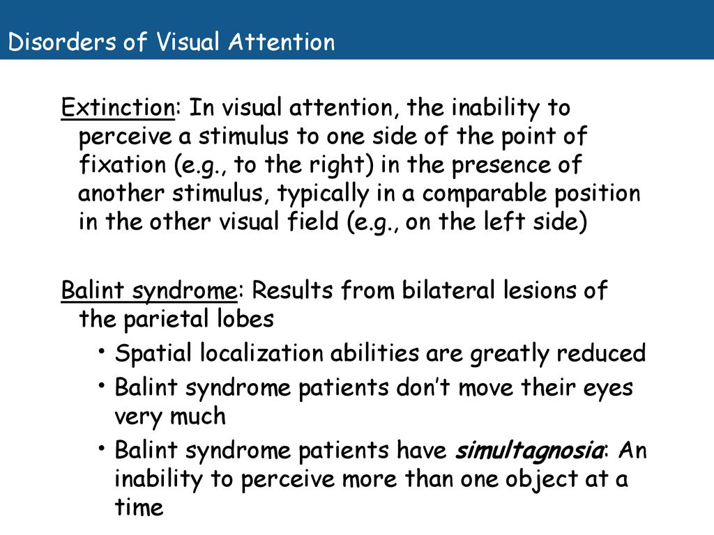 Attention and Scene Perception - ppt download