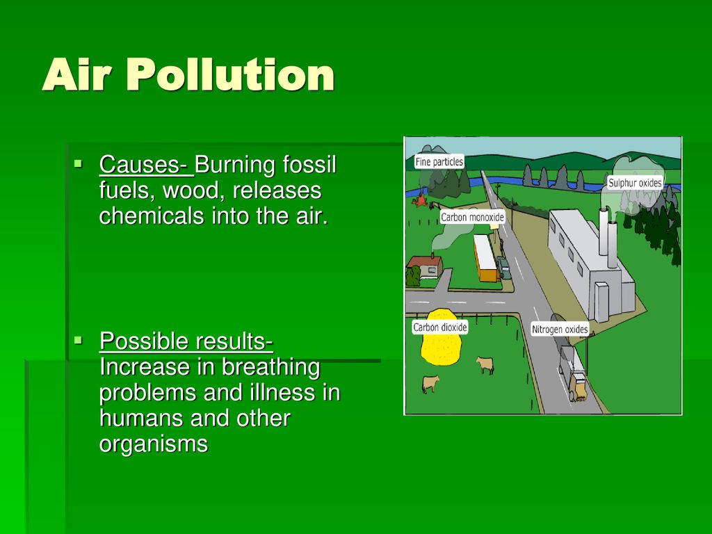 Human Impact & the Environment ppt download