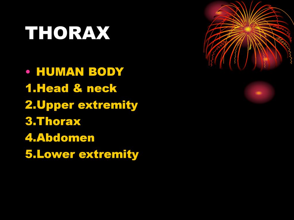 HUMAN ANATOMY Dr. Sarwar Hossain Khan. Biology Diagrams