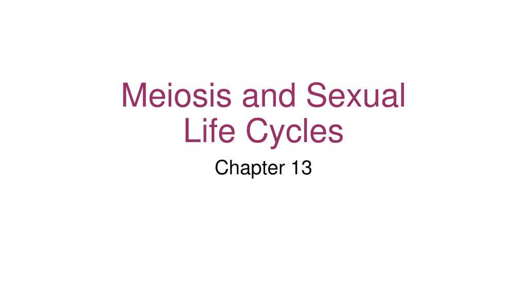 Meiosis And Sexual Life Cycles Ppt Download 