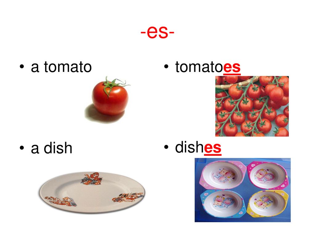 Dish на английском языке