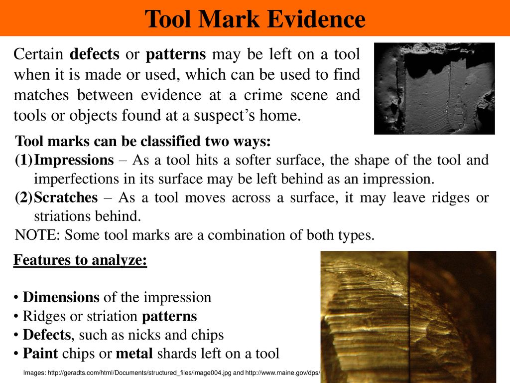 Tool Mark Evidence