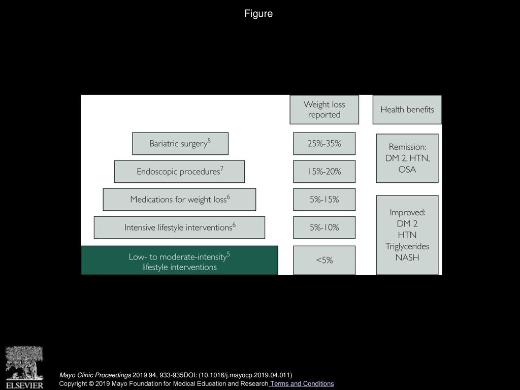 Managing Obesity: Scaling the Pyramid to Success - ppt download
