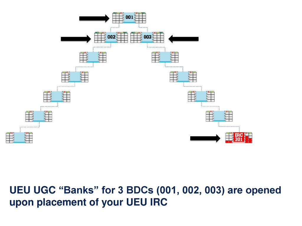 UEU UGC Banks for 3 BDCs (001, 002, 003) are opened upon placement of your UEU IRC