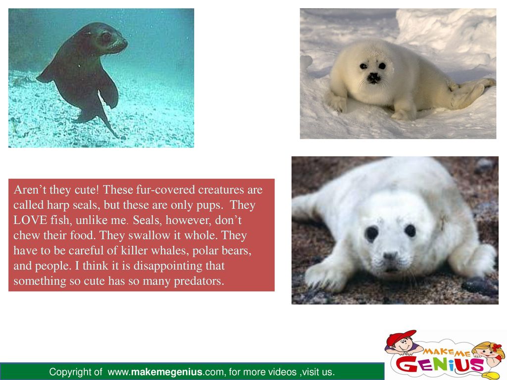 “Don’t make me read, make me understand “ - ppt download
