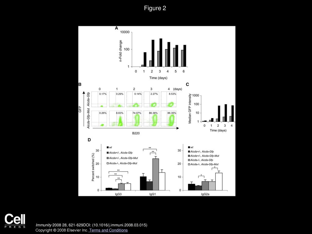 Figure 2 Mutation of the AID miR-155 Target Site Results in Deregulated AID-GFP Expression and Increased CSR Efficiency In Vitro.