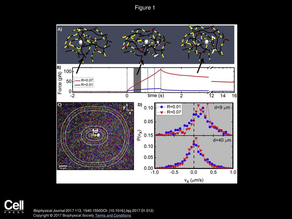 Microrheology With An Optically Trapped Particle A Sketch Of The