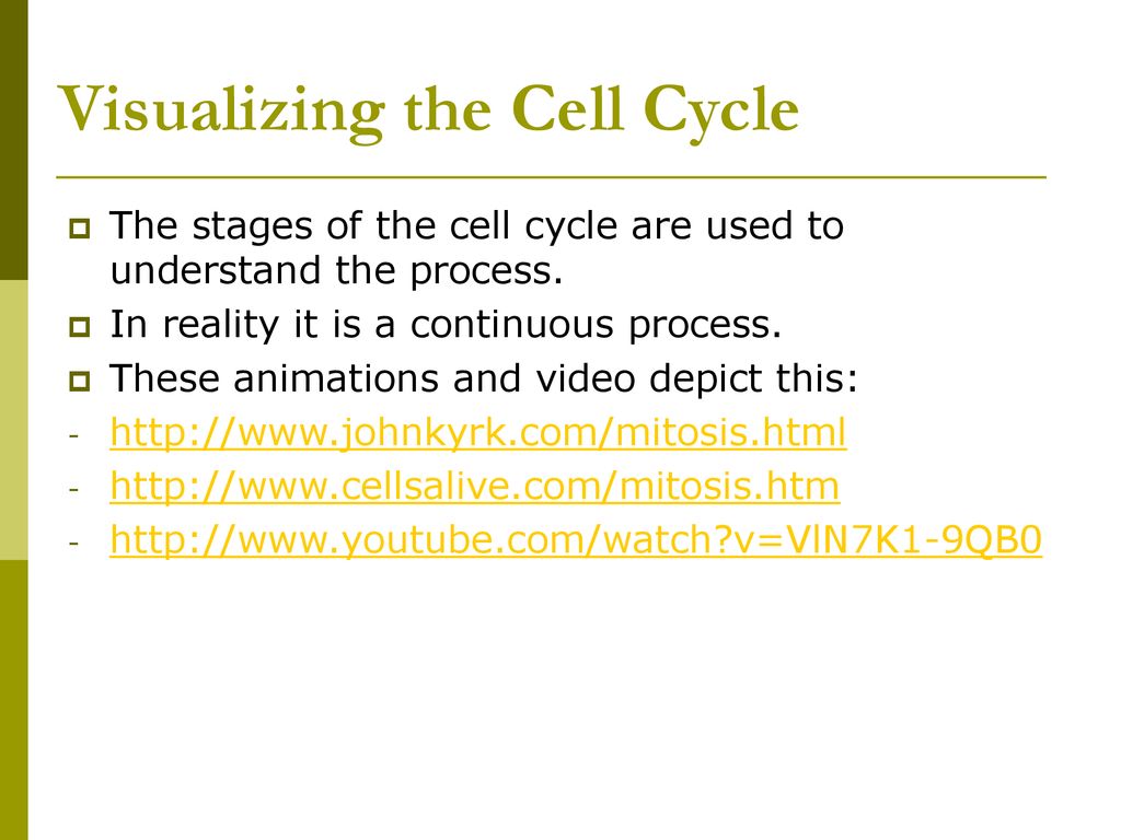 The Cell Theory, Cell Cycle & Mitosis Biology Diagrams