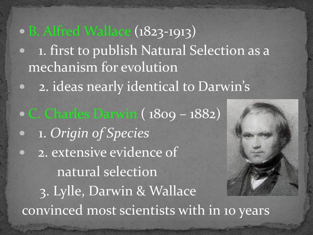 B. Alfred Wallace ( ) 1. first to publish Natural Selection as a mechanism for evolution. 2. ideas nearly identical to Darwin’s.
