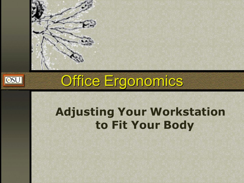 Adjusting Your Workstation to Fit Your Body