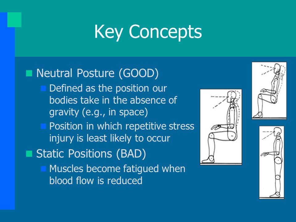 Key Concepts Neutral Posture (GOOD) Static Positions (BAD)