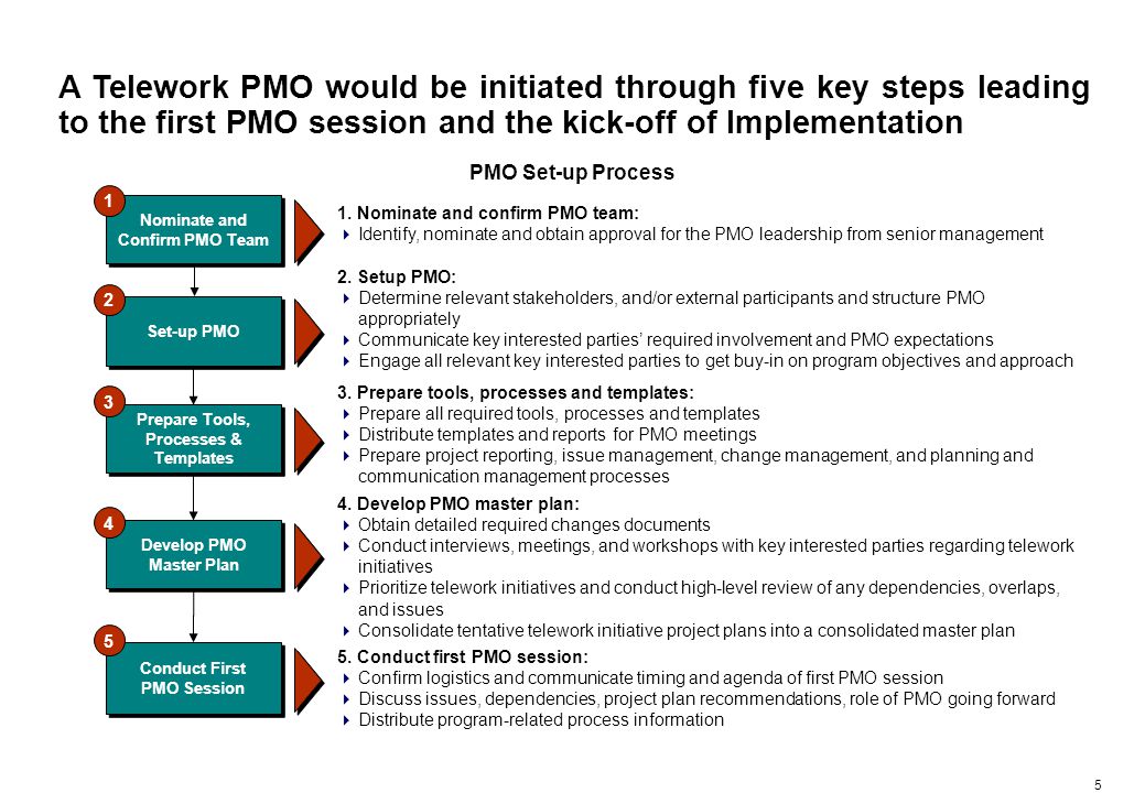 Preliminary Suggested PMO Structure