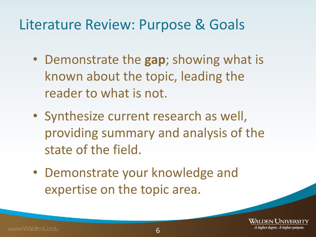 4 major goals of a literature review