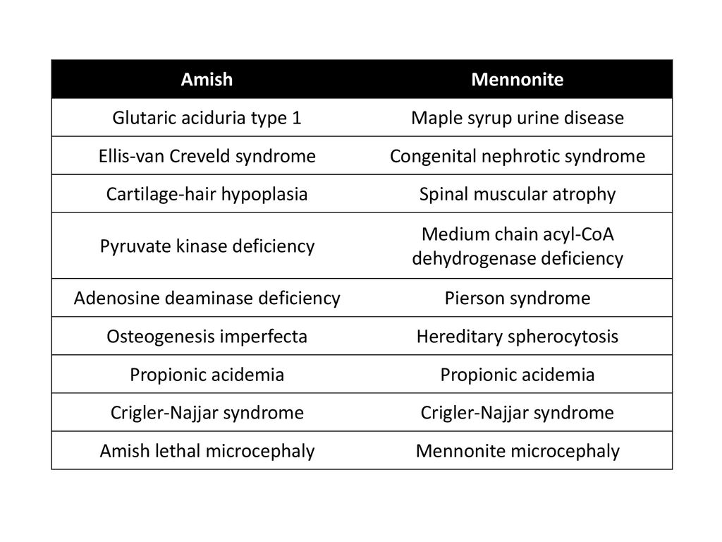 Plain People Modern Medicine Ppt Download