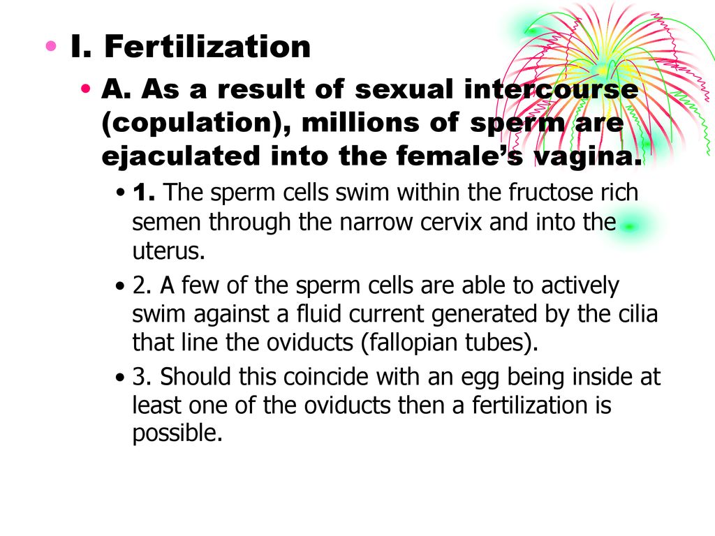 Fertilization and Development