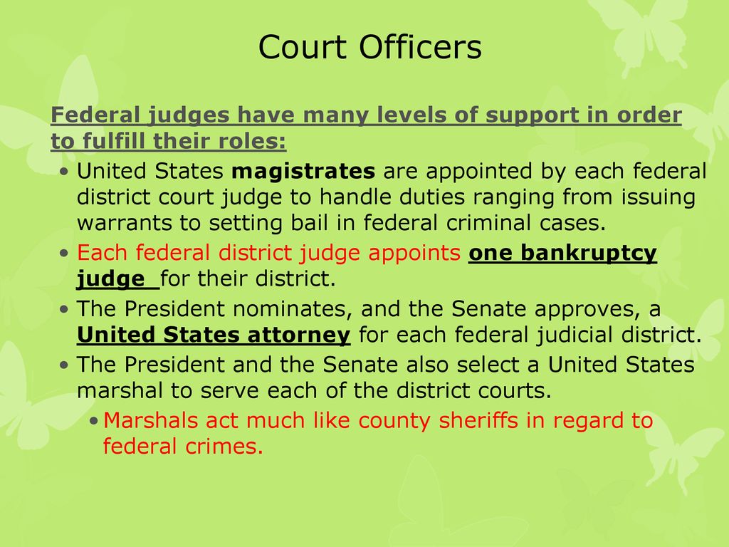 The Federal Court System - Ppt Download