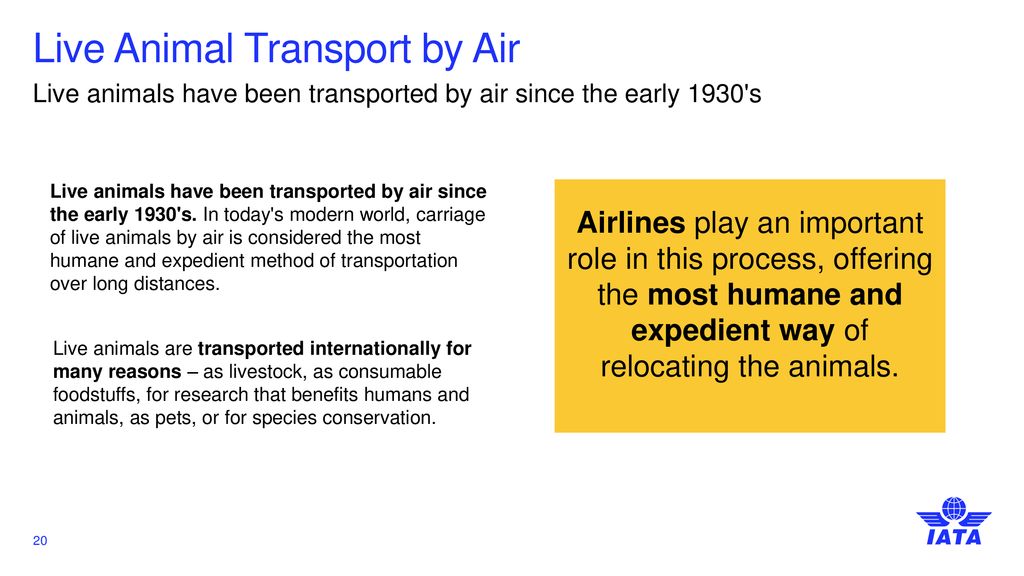Ensuring Animal Safety and Welfare by Air - ppt download