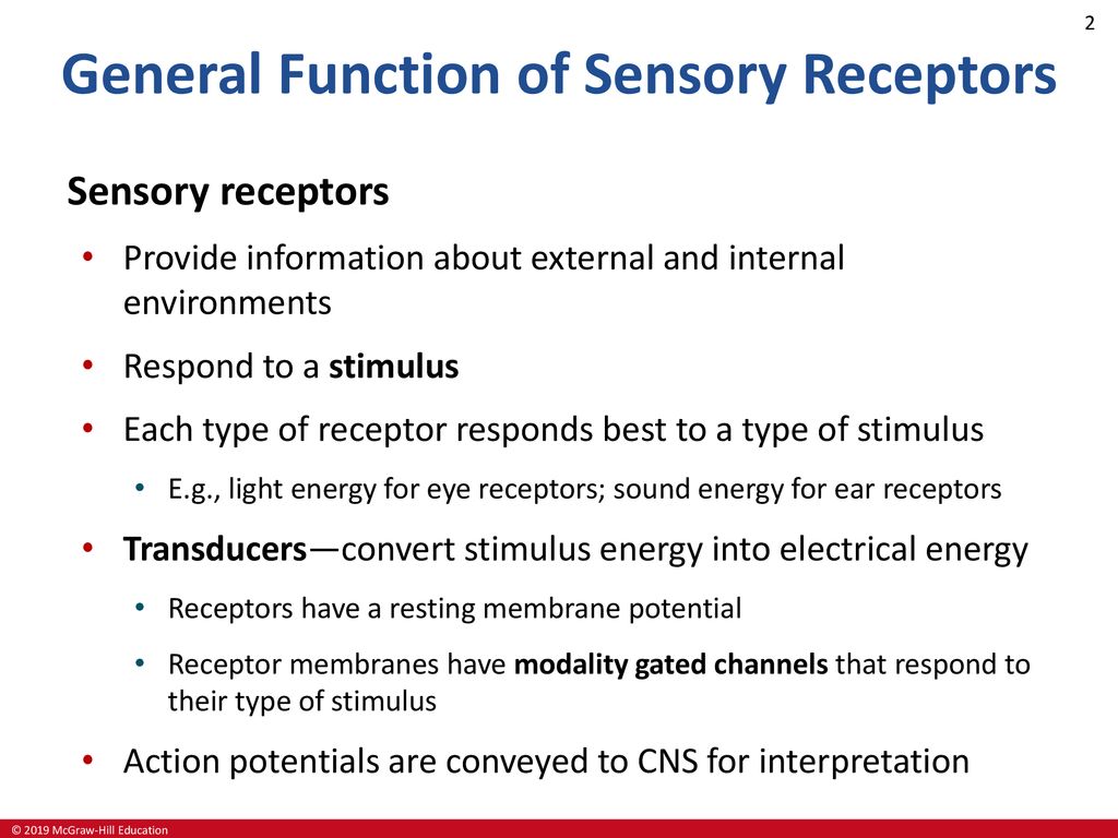sensory receptors types and functions