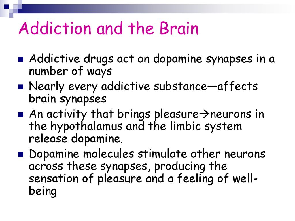 The Nervous System. - ppt download