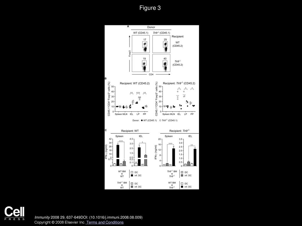 Volume 29, Issue 4, Pages (October 2008) - ppt download