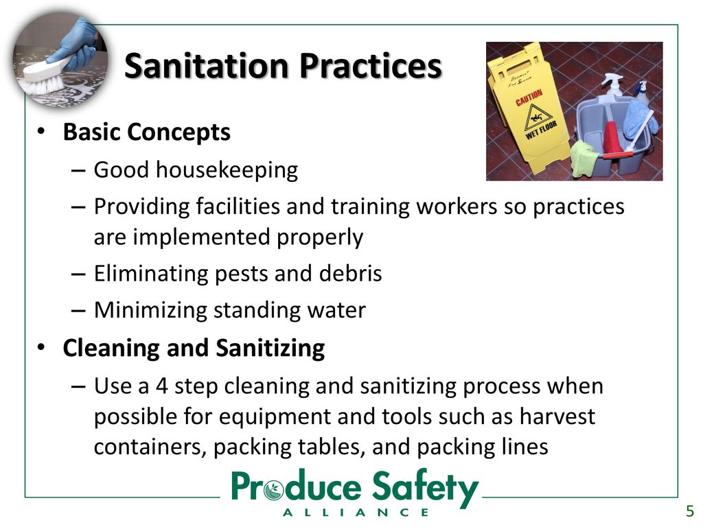 Module 6 Postharvest Handling Sanitation Ppt Download module-6-postharvest-handling-sanitation-ppt-download