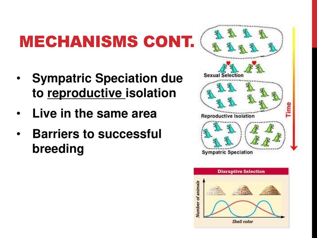 Mechanisms Cont. Sympatric Speciation due to reproductive isolation
