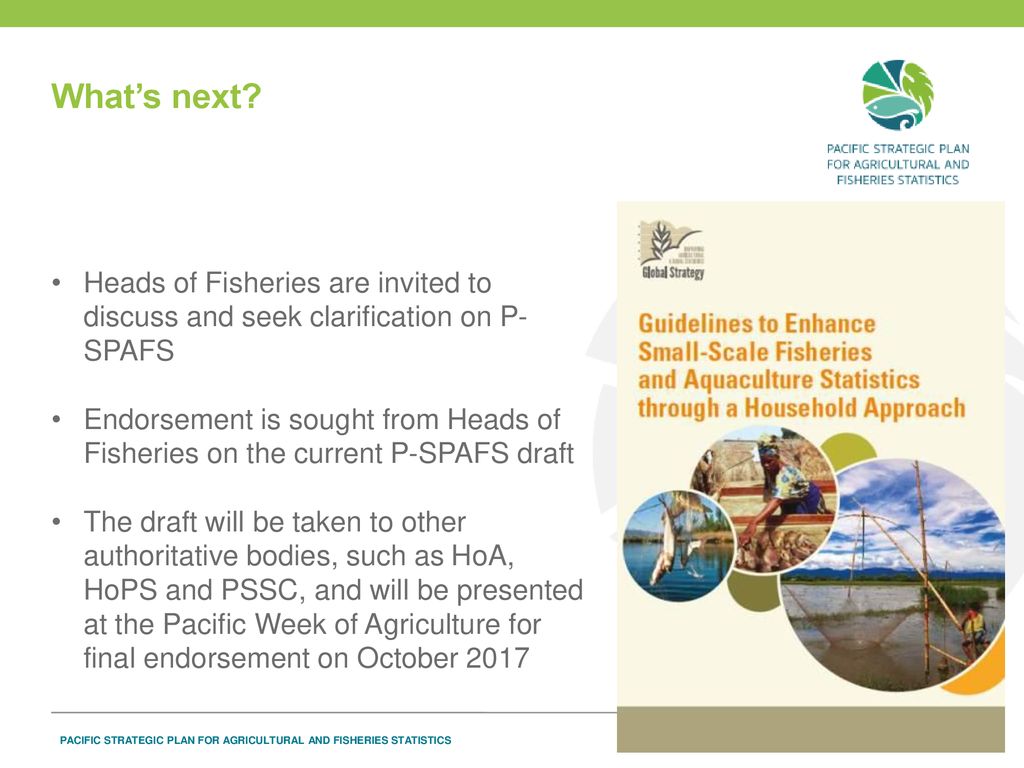 What’s next Heads of Fisheries are invited to discuss and seek clarification on P-SPAFS.