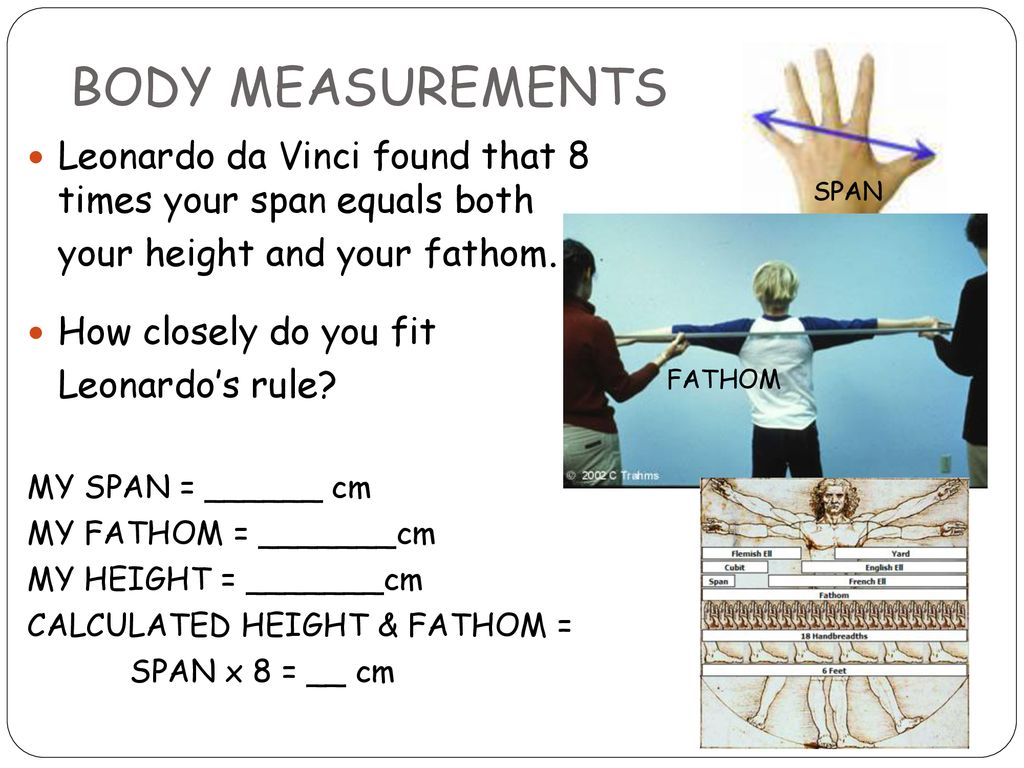 Measuring Objects Ppt Download