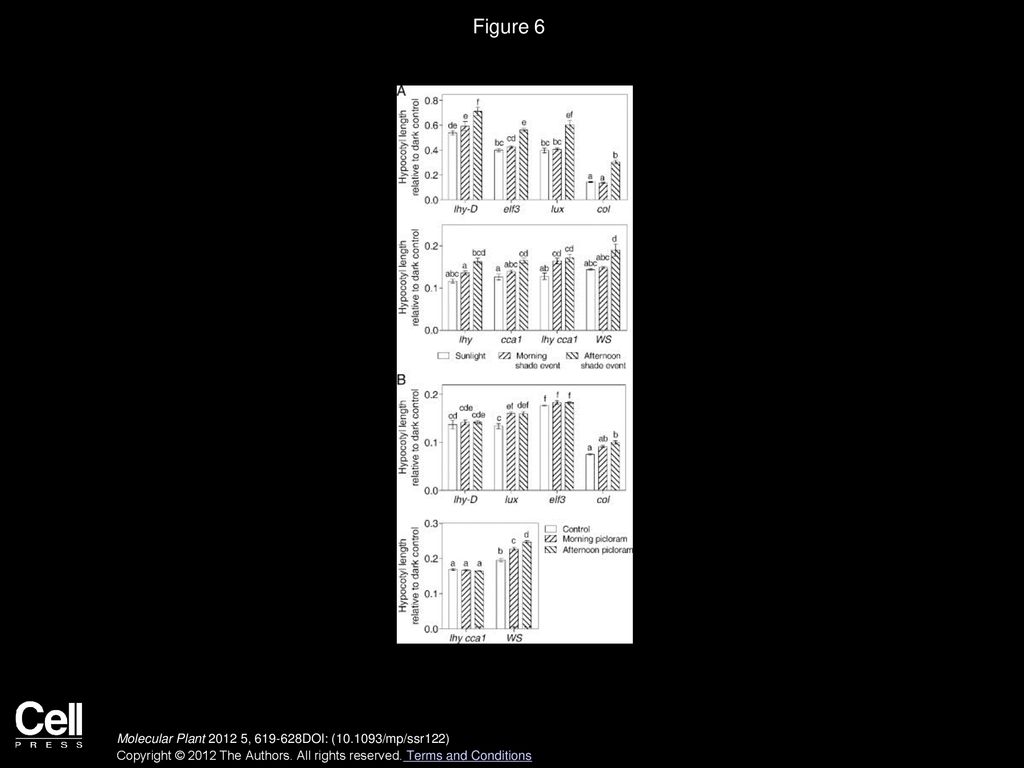Diurnal Dependence Of Growth Responses To Shade In Arabidopsis Role Of diurnal-dependence-of-growth-responses-to-shade-in-arabidopsis-role-of