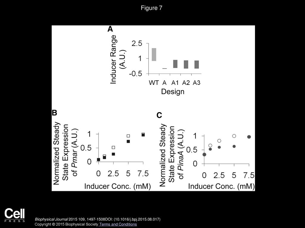 Mahendra kumar prajapat kirti jain supreet saini biophysical journal