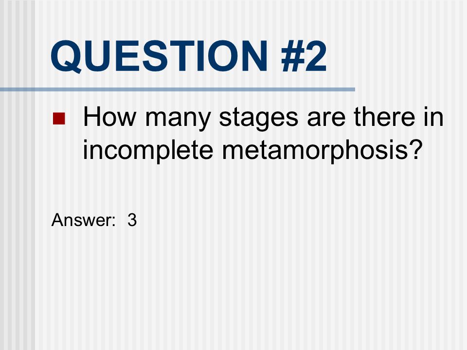 QUESTION #2 How many stages are there in incomplete metamorphosis