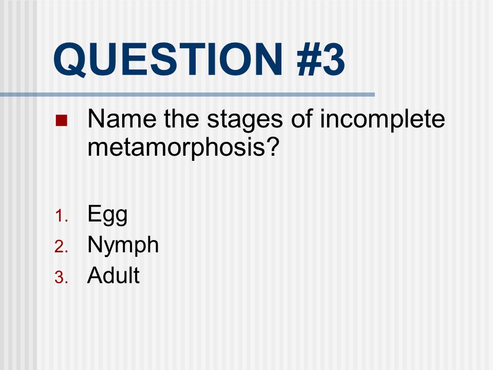 QUESTION #3 Name the stages of incomplete metamorphosis Egg Nymph