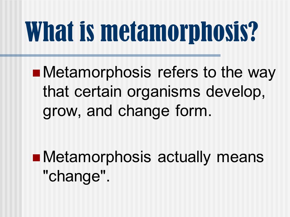 What is metamorphosis Metamorphosis refers to the way that certain organisms develop, grow, and change form.