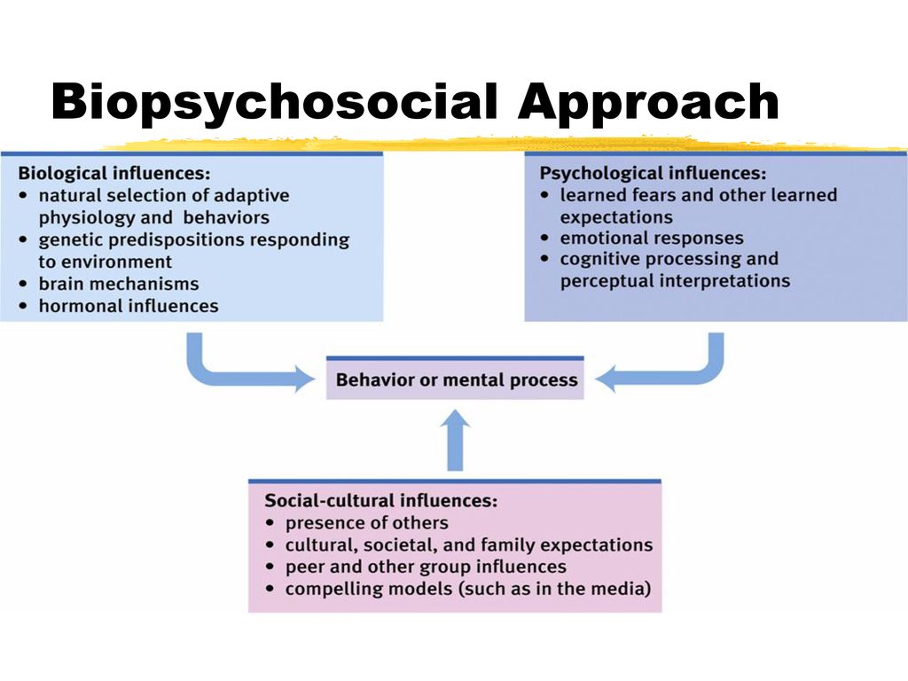 Psychology approaches