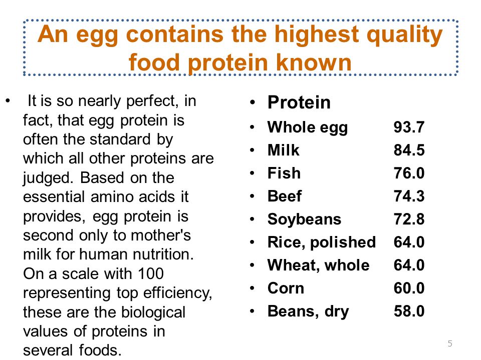 An egg contains the highest quality food protein known