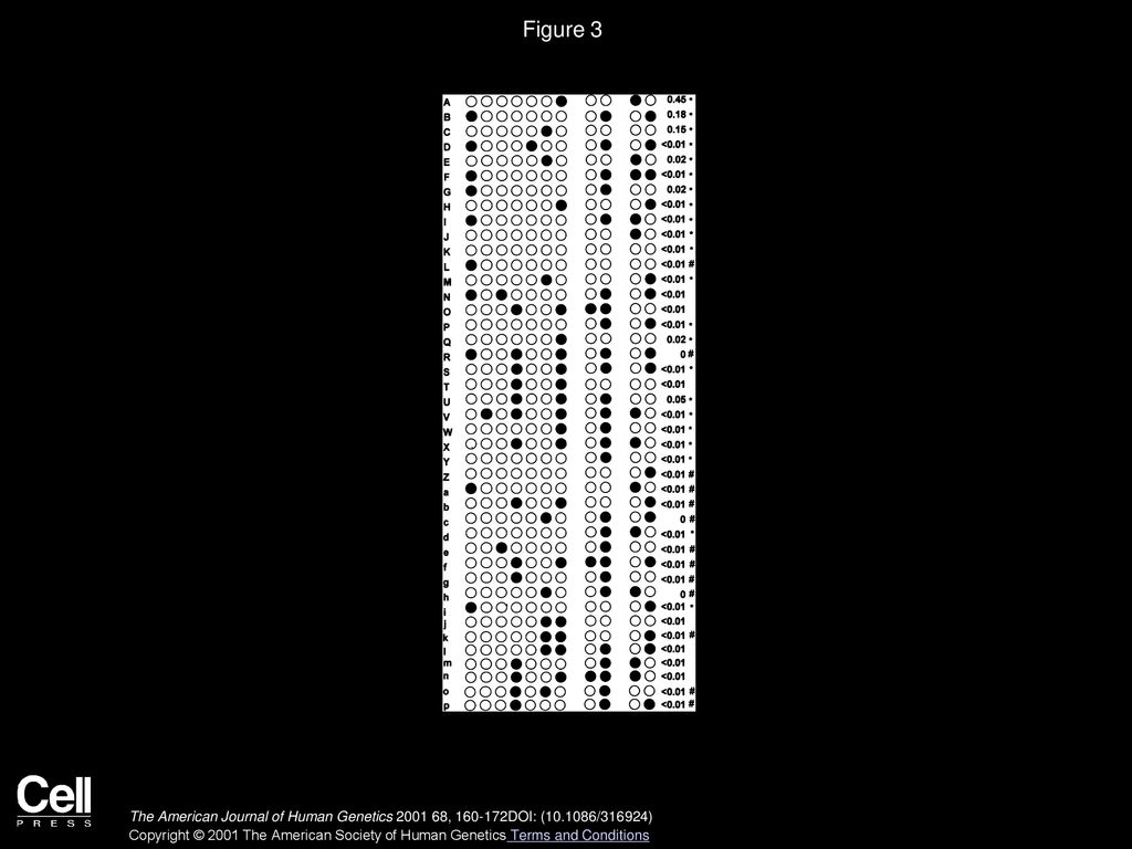 Lactase Haplotype Diversity in the Old World - ppt download