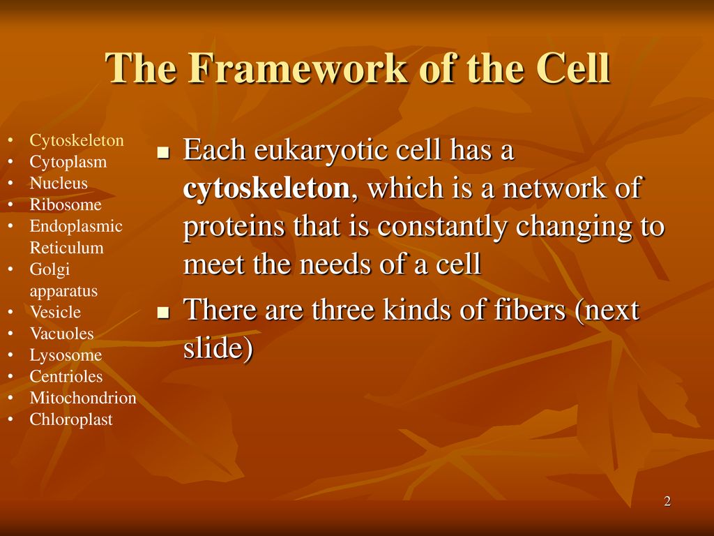 The Framework of the Cell