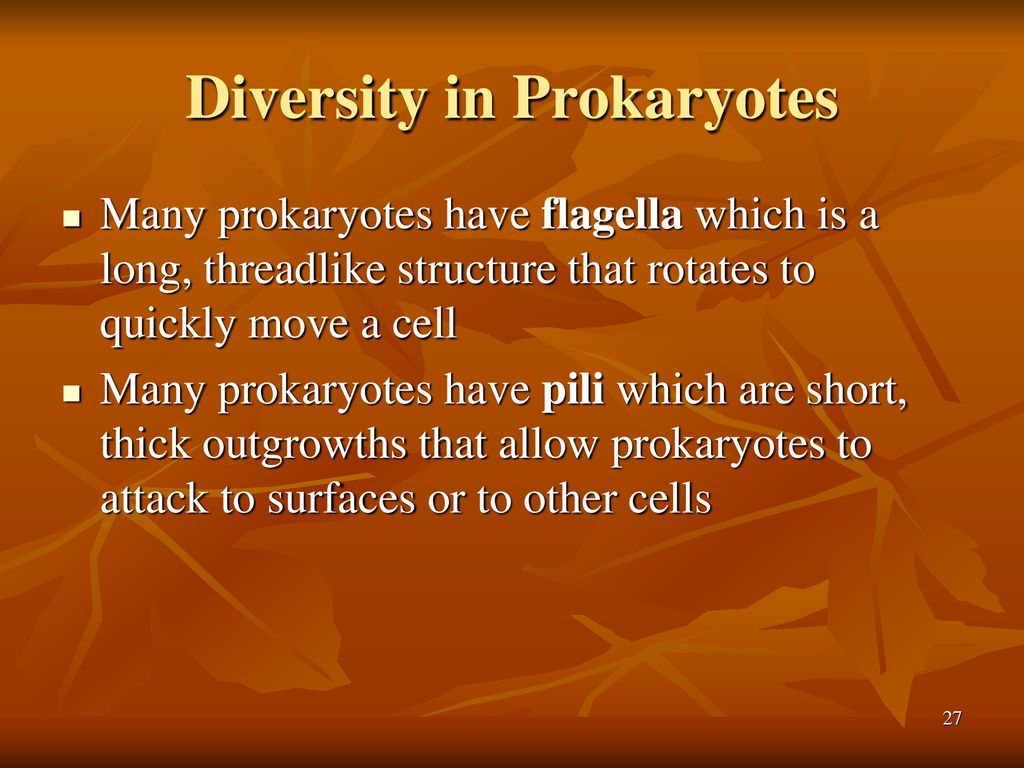 Diversity in Prokaryotes