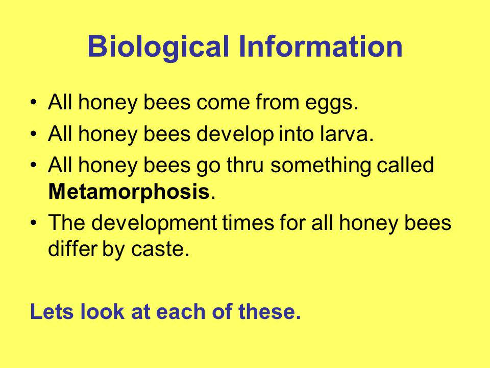 Biological Information