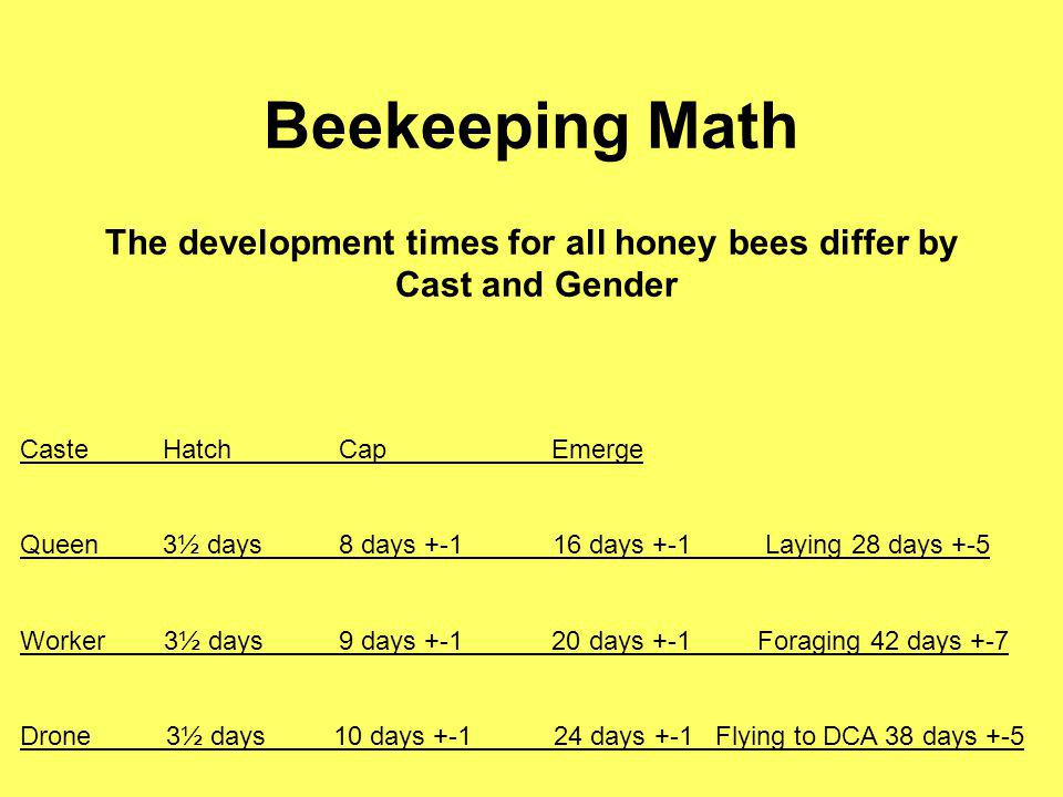The development times for all honey bees differ by