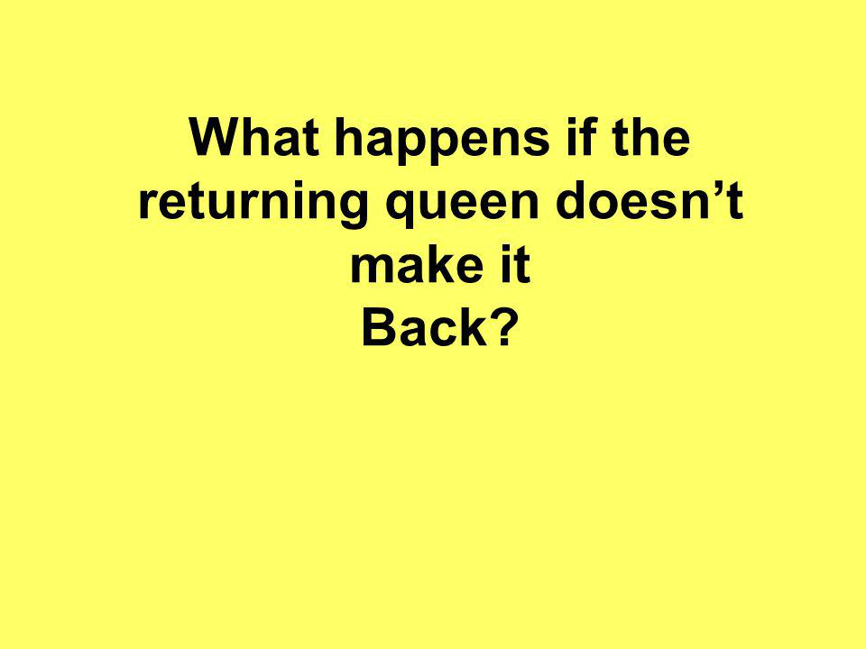 What happens if the returning queen doesn’t make it Back