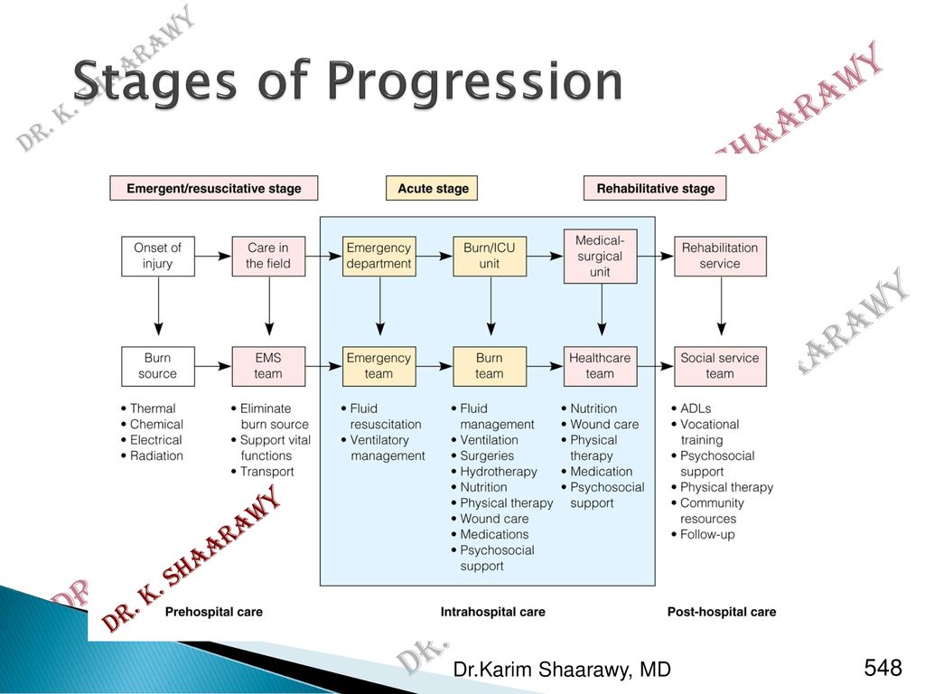 Stages of Progression Dr. K. Shaarawy Dr.Karim Shaarawy, MD