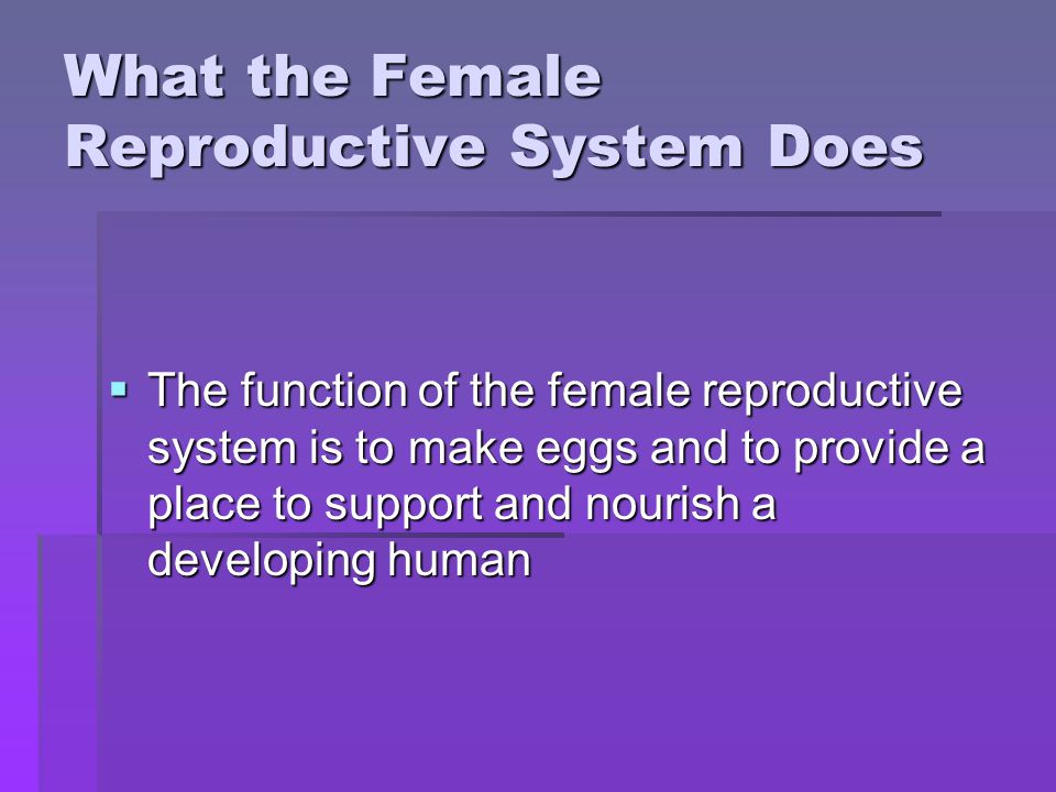What the Female Reproductive System Does
