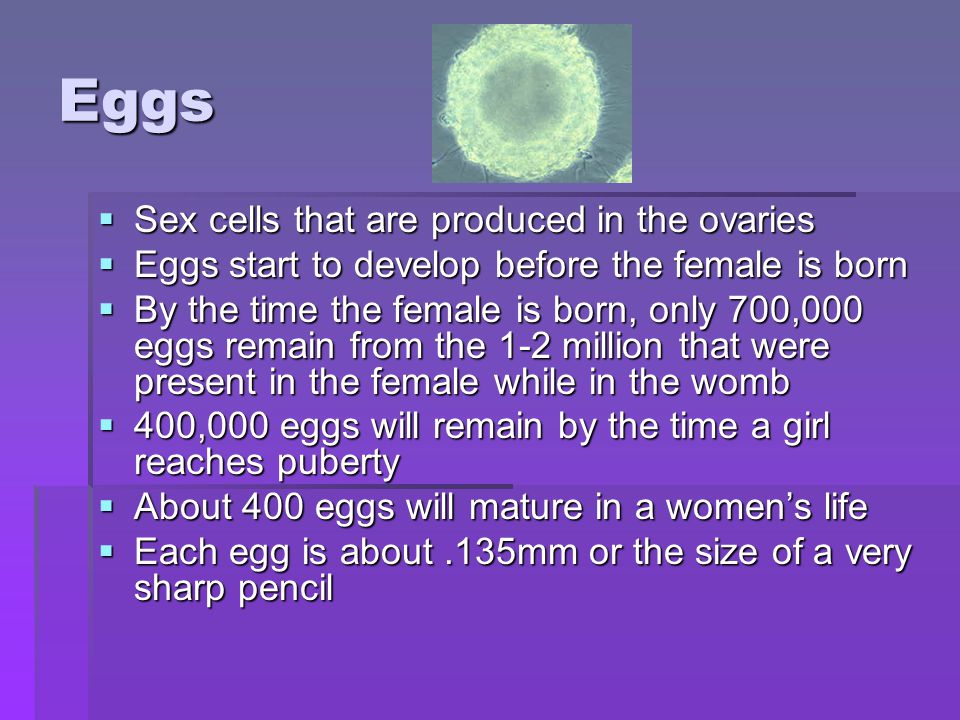 Eggs Sex cells that are produced in the ovaries
